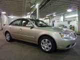 2010 Hyundai Sonata GLS