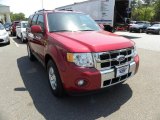 2010 Sangria Red Metallic Ford Escape Limited V6 #48233468