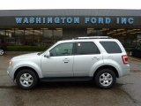 2010 Ingot Silver Metallic Ford Escape Limited 4WD #48233540