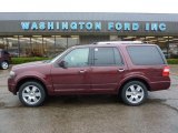 2010 Royal Red Metallic Ford Expedition Limited 4x4 #48233541