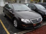 2007 Mocha Brown Volkswagen Passat 2.0T Sedan #48268464