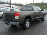 2010 Toyota Tundra Pyrite Brown Mica