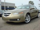 2008 Bold Beige Metallic Acura TL 3.2 #48268377