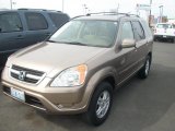 2004 Mojave Mist Metallic Honda CR-V EX 4WD #48268389