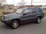 2004 Onyx Green Pearl Jeep Grand Cherokee Laredo 4x4 #48328575