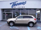 2008 Golden Cashmere Saturn VUE XE #48328750