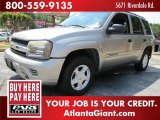 2002 Light Pewter Metallic Chevrolet TrailBlazer LS #48329008