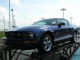 2009 Vista Blue Metallic Ford Mustang V6 Premium Coupe #4824602