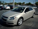 2010 Chevrolet Malibu LS Sedan