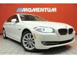 2011 Alpine White BMW 5 Series 528i Sedan #48328694