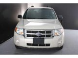 2008 Ford Escape XLT V6