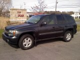 2003 Dark Gray Metallic Chevrolet TrailBlazer LS 4x4 #48387566