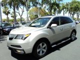 2010 Acura MDX Palladium Metallic