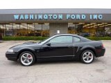 2001 Black Ford Mustang Bullitt Coupe #48387603