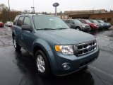 2011 Steel Blue Metallic Ford Escape XLT V6 #48387432