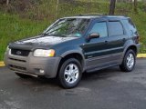 2001 Dark Highland Green Metallic Ford Escape XLT V6 4WD #48431088