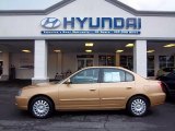 2004 Hazelnut Hyundai Elantra GLS Sedan #48460513