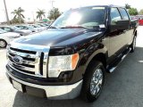 2009 Ford F150 XLT SFE SuperCrew Data, Info and Specs