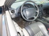 1997 Pontiac Firebird Coupe Dark Pewter Interior