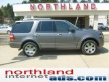 2010 Sterling Grey Metallic Ford Expedition Limited 4x4 #48520485