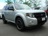 2010 Ingot Silver Metallic Ford Escape XLT Sport Package #48520206