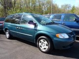 2002 Aquamarine Metallic Dodge Grand Caravan SE #48581335