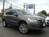 2011 Alpine Gray Metallic Volkswagen Tiguan SE #48521470