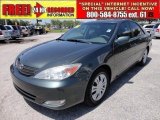 2004 Aspen Green Pearl Toyota Camry XLE #48521250