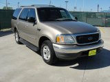 2002 Arizona Beige Metallic Ford Expedition XLT #48581387