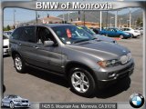 2004 Sterling Grey Metallic BMW X5 3.0i #48581398