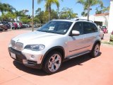 2008 Titanium Silver Metallic BMW X5 4.8i #48581208