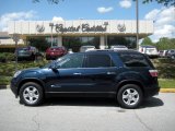 2007 Deep Blue Metallic GMC Acadia SLT #48581257