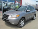 2007 Platinum Sage Hyundai Santa Fe SE 4WD #48521363