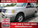 2003 Silver Birch Metallic Ford Expedition XLT #48521418