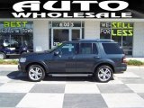 2010 Black Pearl Slate Metallic Ford Explorer Limited #48663636