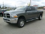 Mineral Gray Metallic Dodge Ram 2500 in 2010