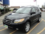 2009 Ebony Black Hyundai Santa Fe SE #48663906