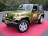 2007 Rescue Green Metallic Jeep Wrangler Sahara 4x4 #48663410