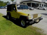 2004 Solar Yellow Jeep Wrangler Sport 4x4 #48731555