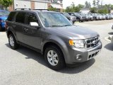 2009 Sterling Grey Metallic Ford Escape Limited V6 #48770390