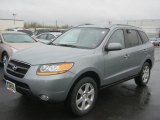 2008 Hyundai Santa Fe SE