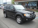 2008 Black Ford Escape XLT 4WD #48770329