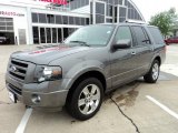2010 Sterling Grey Metallic Ford Expedition Limited 4x4 #48770476