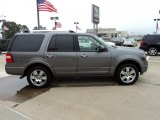Sterling Grey Metallic Ford Expedition in 2010