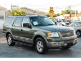 2003 Estate Green Metallic Ford Expedition Eddie Bauer #48770479