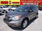 2010 Urban Titanium Metallic Honda CR-V EX #48814952