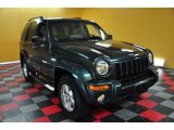 2002 Shale Green Metallic Jeep Liberty Limited 4x4 #48814801