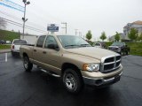2004 Light Almond Pearl Dodge Ram 1500 SLT Quad Cab 4x4 #48814524