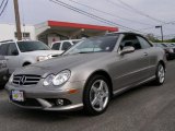 2006 Pewter Metallic Mercedes-Benz CLK 500 Cabriolet #48814533