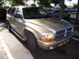 2002 Light Almond Pearl Metallic Dodge Durango SLT Plus #48814409